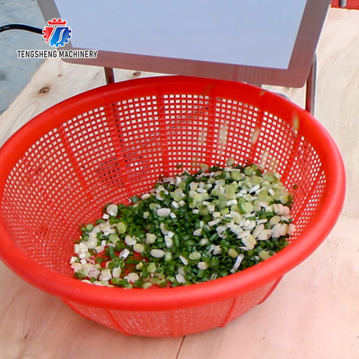 100KG/H Desktop Onion Chopper Cucumber Slicer Machine
