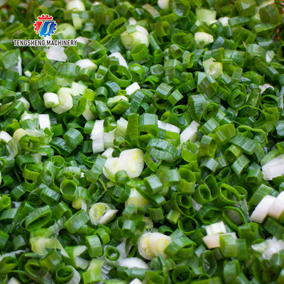 SS304 Vegetable Processing Machine Mini Electric Tabletop Onion Slicer Food Processor