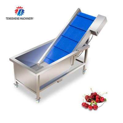 380V 0.375KW Pre-Foaming Lifting Conveyor Apple Pear Cabbage Operation Line