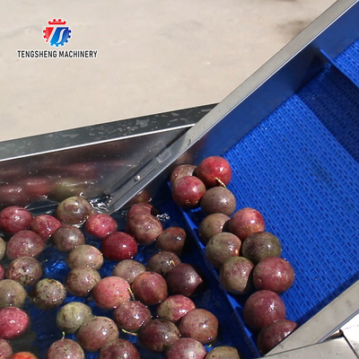 2pcs/Min Industrial Vegetable Processing Machine Automatic Elevator Food Conveying