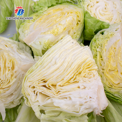 58KG Wholesale vegetable slicing machine melon and fruit slicing machine half machine
