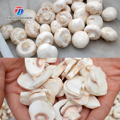 Mushroom slicer mushroom farm processing and cutting equipment central kitchen supporting machinery mushroom processing