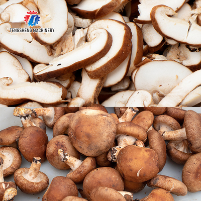 Mushroom slicer mushroom farm processing and cutting equipment central kitchen supporting machinery mushroom processing