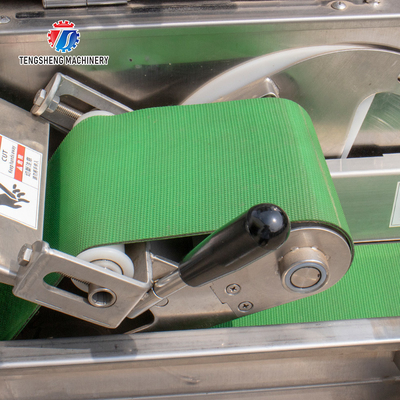 2.25kw 1000kg/h Large double - head multi-function vegetable cutter cutting leaves and fruits slices