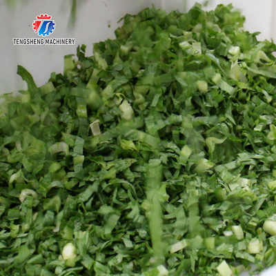 2.25KW 140KG Multi-function CNC vegetable cutter Automatic vegetable cutter large batch vegetable cutter
