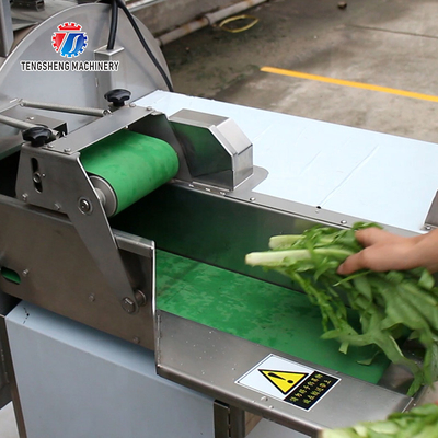 2.25KW 140KG Multi-function CNC vegetable cutter Automatic vegetable cutter large batch vegetable cutter