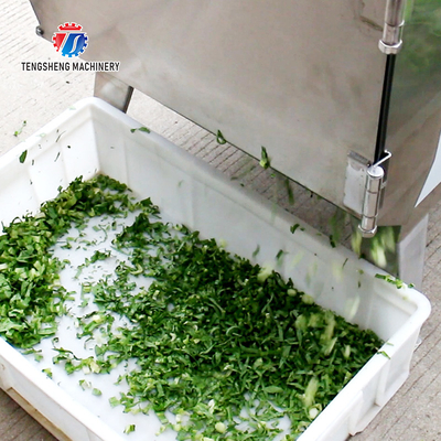 Large commercial canteen cutting machine vegetable and melon slicing machine multi-functional automatic cutting machine