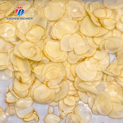 3000KG/H Commercial potato chip machine pumpkin, winter melon, potato slicing, root, large potato equipment