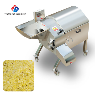 1000KG/H Professional fruit and vegetable dicing machine large yield lotus root dicing machine radish dicing machine
