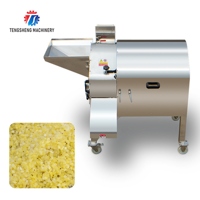 1000KG/H Fruit and vegetaicing machine Automatic multi-functble large commercial dional fruit dicing machine