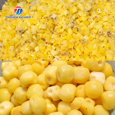 1000KG/H Large fruit and vegetable dicing machine Aloe dicing machine potato strawberry dicing machine