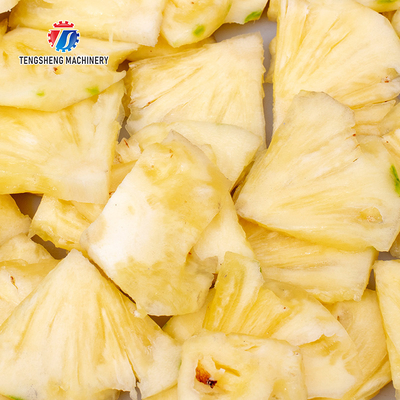 1000KG/H 80KG Multi-function vegetable cutting machine apple dragon fruit slice machine vertical lemon slicer
