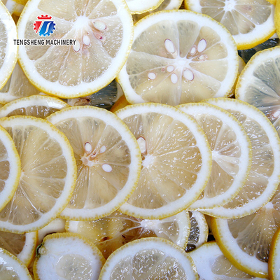 1000KG/H 80KG Multi-functional fruit slicer cutting lemon and cucumber fruit and vegetable processing equipment