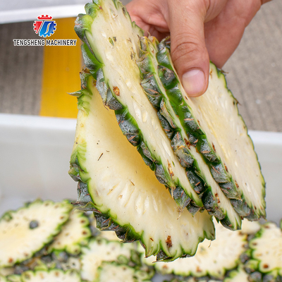 1.5KW 150KG Large slicing and slicing machine Root and stem vegetable cutting machine large knife vegetable