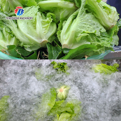 85KG 0.55KW Small vegetable does not cover an area of fruit and vegetable ozone washing machine hot washing machine