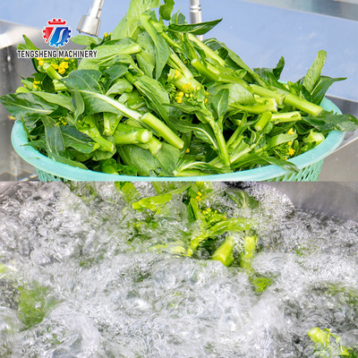 85KG 0.55KW Small vegetable does not cover an area of fruit and vegetable ozone washing machine hot washing machine