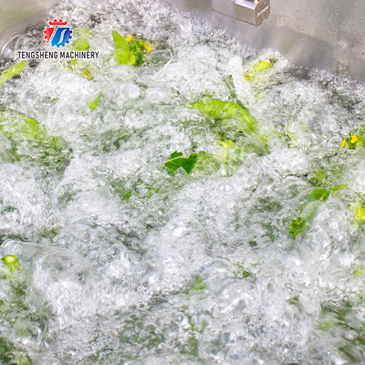 85KG 0.55KW Commercial ultrasonic bubble cleaning machine ozone sterilization cleaning machine can be fixed productionl