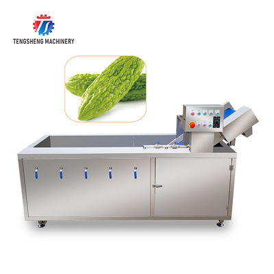 2.6KW Impurity Filter Fruit And Vegetable Washing Machine Citrus Apple