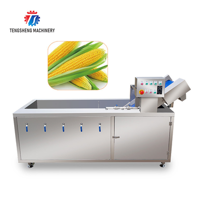 2.6KW Impurity Filter Fruit And Vegetable Washing Machine Citrus Apple