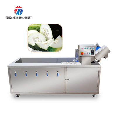 2.6KW Impurity Filter Fruit And Vegetable Washing Machine Citrus Apple