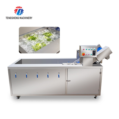 185KG Commercial fruit and vegetable washing machine stainless steel ozone disinfection bubble washing machine