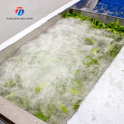 2.6KW Impurity Filter Fruit And Vegetable Washing Machine Citrus Apple