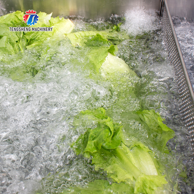 2.6KW Impurity Filter Fruit And Vegetable Washing Machine Citrus Apple