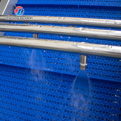 2.6KW Impurity Filter Fruit And Vegetable Washing Machine Citrus Apple