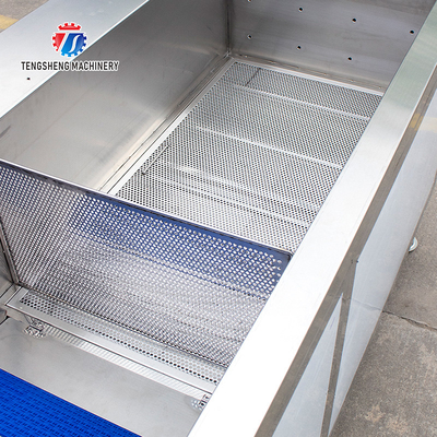 2.6KW Impurity Filter Fruit And Vegetable Washing Machine Citrus Apple