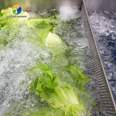 2.6KW Impurity Filter Fruit And Vegetable Washing Machine Citrus Apple