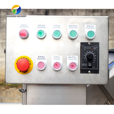 2.6KW Impurity Filter Fruit And Vegetable Washing Machine Citrus Apple