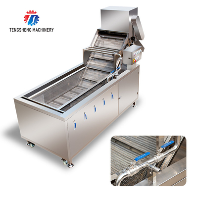 2.6KW Fruit and vegetable cleaning and processing equipment automatic washing machine conveyor belt bubble cleaning mach