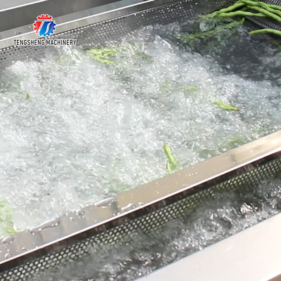 2.6KW Vegetable cleaning processing equipment, cleaning line, multi-functional ozone vegetable washing machine