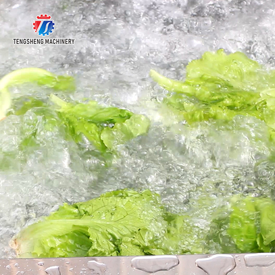 2.6KW Vegetable cleaning processing equipment, cleaning line, multi-functional ozone vegetable washing machine