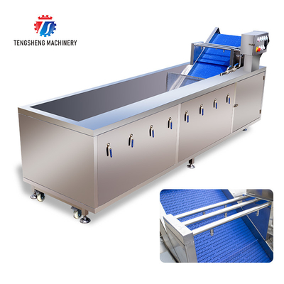 SUS304 Ozone Treatment  Fruit And Vegetable Washing Machine Cherry Tomato