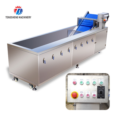 Tengsheng Fruit And Vegetable Washing Machine Pests Eliminating Saint Dragon Fruit