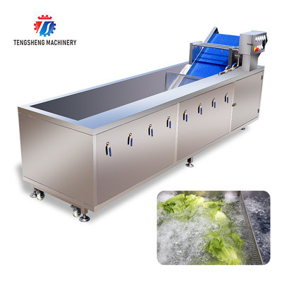 SUS304 Ozone Treatment  Fruit And Vegetable Washing Machine Cherry Tomato