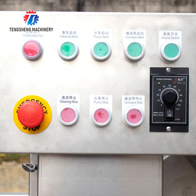 SUS304 Ozone Treatment  Fruit And Vegetable Washing Machine Cherry Tomato