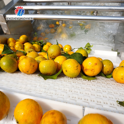 Tengsheng Fruit And Vegetable Washing Machine Pests Eliminating Saint Dragon Fruit