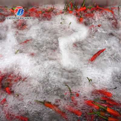 Stepless Shift Water Current Motivity Fruit And Vegetable Washing Machine Impurities Separation