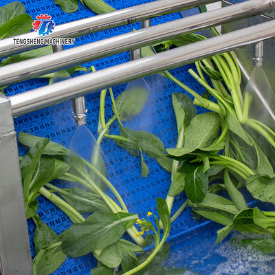 Stepless Shift Water Current Motivity Fruit And Vegetable Washing Machine Impurities Separation