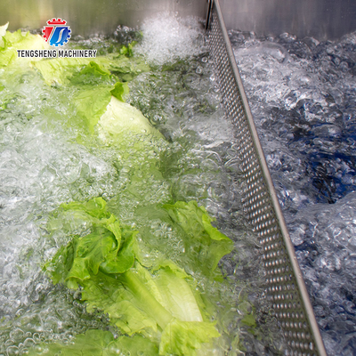 Stepless Shift Water Current Motivity Fruit And Vegetable Washing Machine Impurities Separation