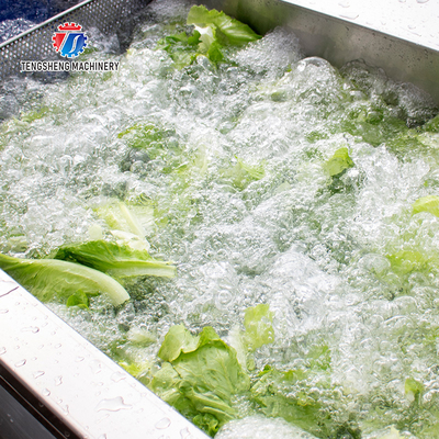 Tengsheng Fruit And Vegetable Washing Machine Pests Eliminating Saint Dragon Fruit