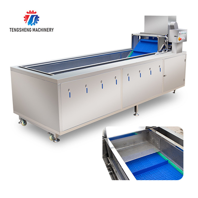 240KG Fruit and vegetable washing machine Vegetable vortex bubble washing machine Commercial ozone washing machine