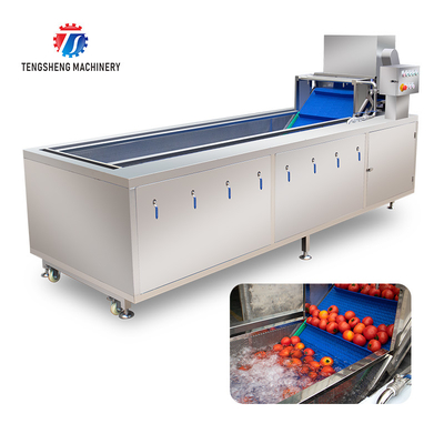240KG Automatic large prefabricated vegetable washing machine central kitchen bubble washing vegetable equipment