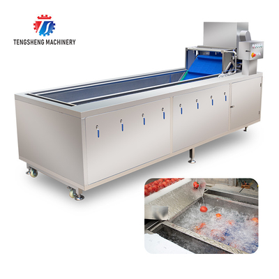 240KG Supply bubble cleaning machine multi-functional vegetable washing machine vegetable leaves and fruits cleaning