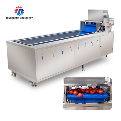 240KG Supply bubble cleaning machine multi-functional vegetable washing machine vegetable leaves and fruits cleaning