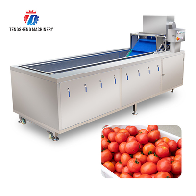 240KG Air bubble vortex washing machine Fruit and vegetable washing machine cleaning production line