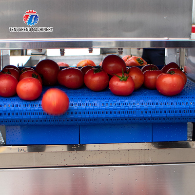 240KG Air bubble vortex washing machine Fruit and vegetable washing machine cleaning production line