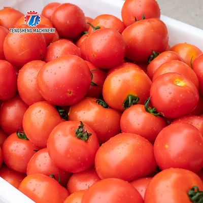 240KG Washing machine Fruit and vegetable washing machine vegetable cleaning equipment product cleaning equipment